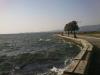 dsc_9518_t1.jpg
