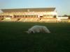 dsc_9704_t1.jpg