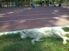 dsc_9765_t1.jpg