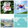 20170313_135252-collage_t1.jpg