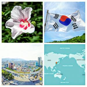 20170313_135252-collage.jpg