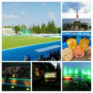 20170813_212438-collage.jpg